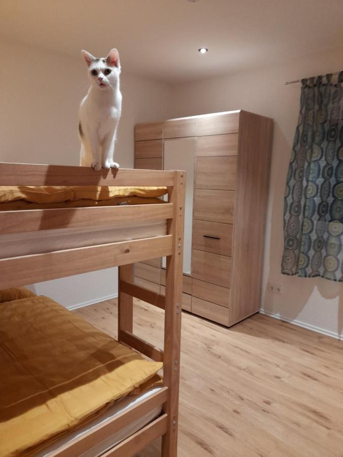 Traubshof Apartment Ochsenhausen Bagian luar foto
